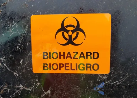 2022 Volkswagen Tiguan 2.0T Se R-Line Black from USA, damaged, VIN 3VV8B7AX8NM006023